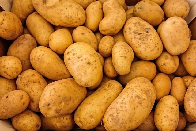 When to Plant Potatoes in Texas