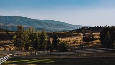 Difference Between a Farm and a Ranch