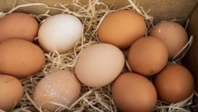 How Long Can Farm Fresh Eggs Sit Out