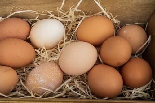 How Long Can Farm Fresh Eggs Sit Out