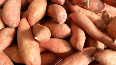 Organic sweet potatoes