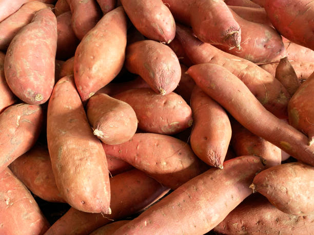 Organic sweet potatoes