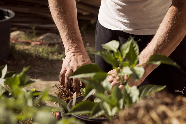 Structure Planting