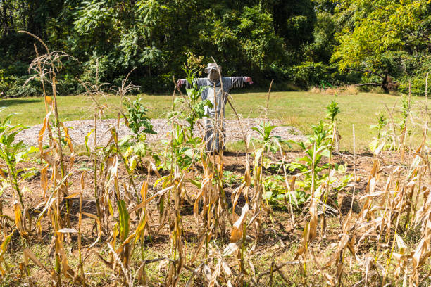 Virginia Growing Zone